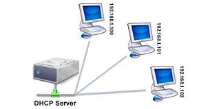 dhcp MailProvider.com